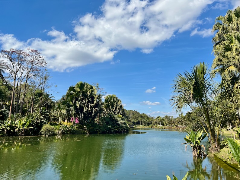 Inhotim Museum gardens in Minas Gerais