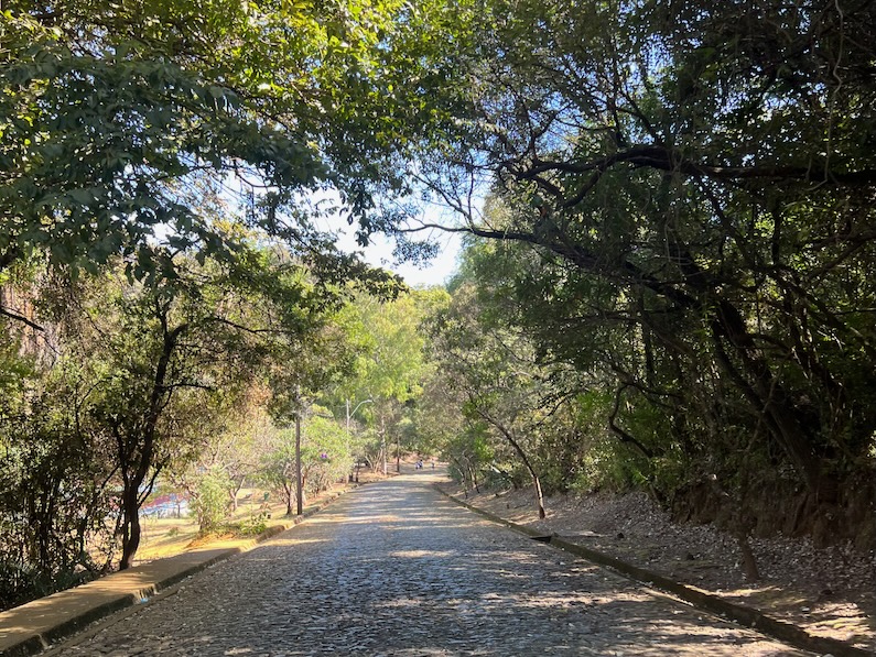 Parque Municipal das Mangabeiras in Belo Horizonte